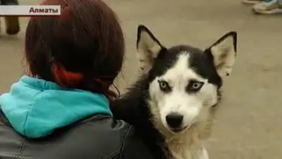 Zakon.kz, фото - Новости Zakon.kz от 03.11.2015 07:17