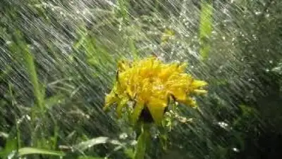 Zakon.kz, фото - Новости Zakon.kz от 08.05.2015 20:53