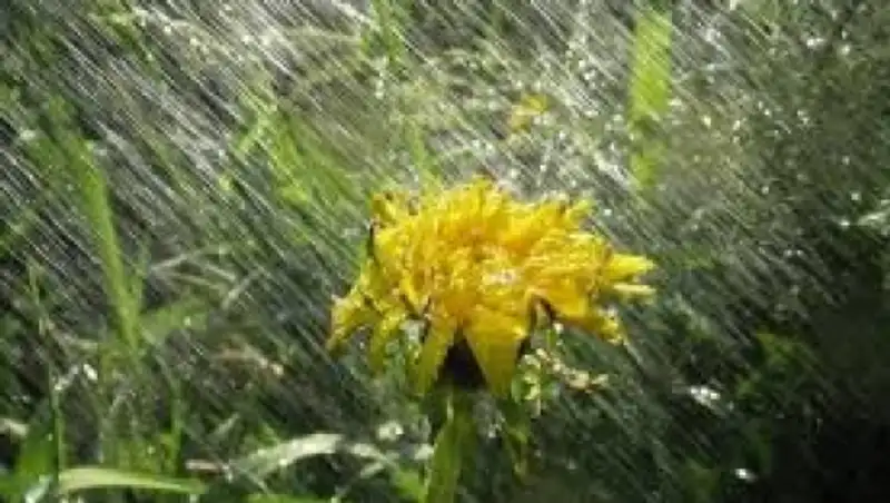 9 мая на большей части Казахстана ожидаются кратковременные дожди и грозы