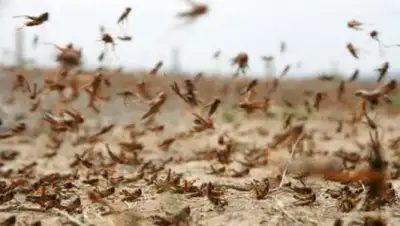 Zakon.kz, фото - Новости Zakon.kz от 01.06.2016 20:24