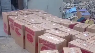 Сигареты на 89 млн тенге изъяли из теневого оборота в Сатпаеве, фото - Новости Zakon.kz от 20.06.2023 10:55