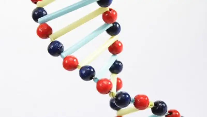 Ученые расшифруют ДНК всей жизни на Земле