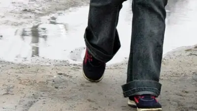 moe-online.ru, фото - Новости Zakon.kz от 26.02.2019 17:11