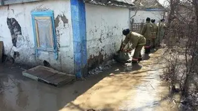 Zakon.kz, фото - Новости Zakon.kz от 08.04.2014 02:10