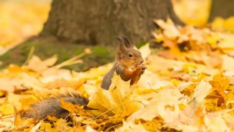 Прогноз погоды по территории Казахстана на 2 ноября