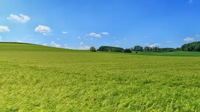 Земельные участки будут предоставлять в электронном формате в Казахстане, фото - Новости Zakon.kz от 09.03.2023 14:10