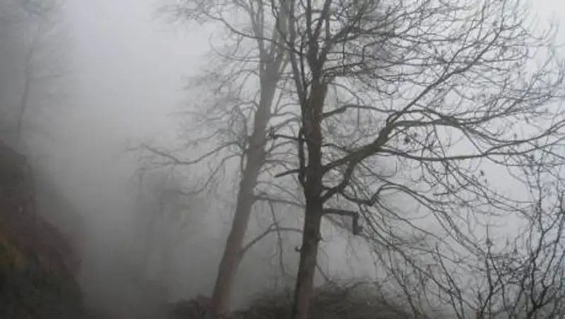 Заморозки, туманы и гололед ожидают казахстанцев
