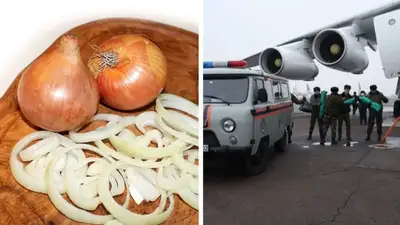 Помощь Турции и "золотой" лук: главные новости за день, фото - Новости Zakon.kz от 07.02.2023 18:32