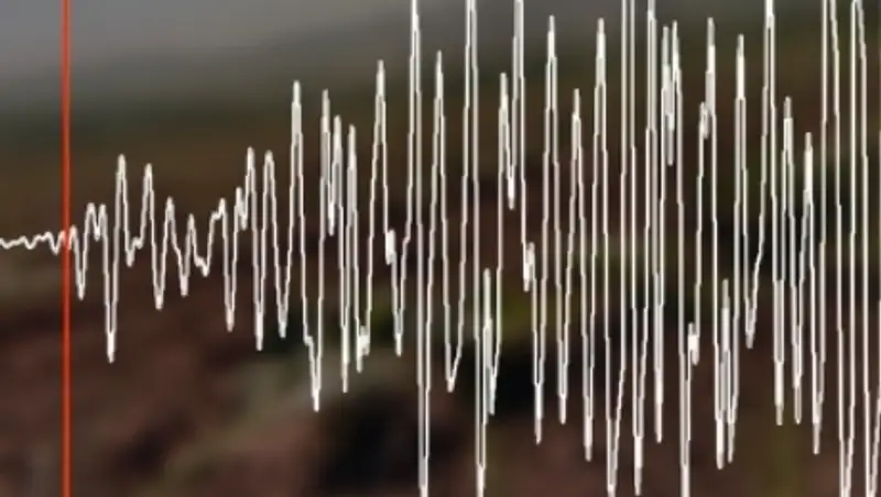 Землетрясение магнитудой 4.6 зарегистрировано в 286 км от Алматы