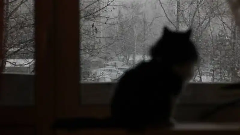 В многоэтажных домах Тараза не прогреваются квартиры