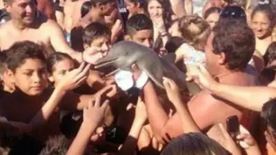 Zakon.kz, фото - Новости Zakon.kz от 18.02.2016 20:46