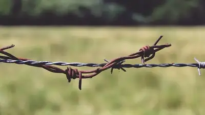 незаконное пересечение границы, фото - Новости Zakon.kz от 28.10.2023 21:36