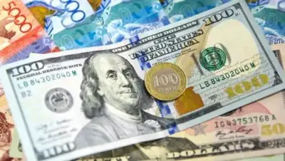 соцсети, фото - Новости Zakon.kz от 29.12.2018 12:22