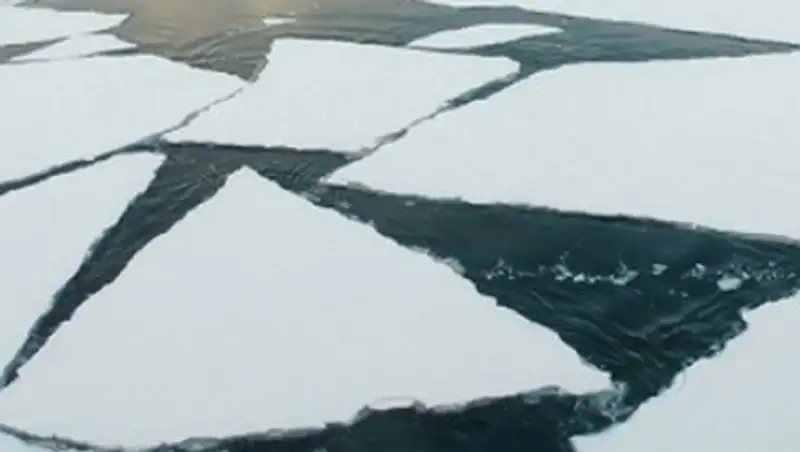 Спасатели сняли с отколовшейся льдины двух молодых людей в Новосибирской области