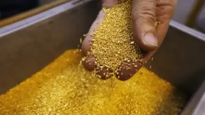 Zakon.kz, фото - Новости Zakon.kz от 07.06.2017 21:45