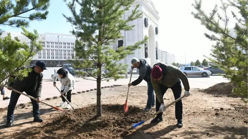 Более 4 тысяч деревьев высажено на общегородском субботнике в Нур-Султане