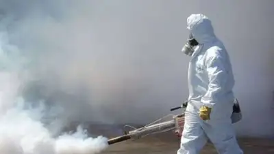 DW, фото - Новости Zakon.kz от 11.07.2021 10:22