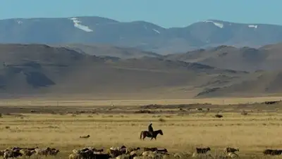 РИА Новости, фото - Новости Zakon.kz от 30.10.2018 12:18