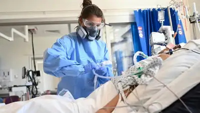 1777.Ru, фото - Новости Zakon.kz от 06.07.2020 07:24