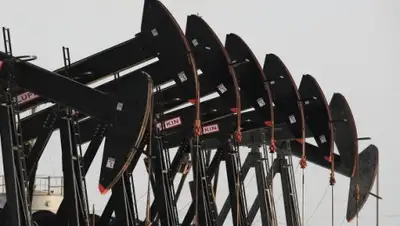 Zakon.kz, фото - Новости Zakon.kz от 23.01.2015 18:41