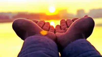 pxhere.com, фото - Новости Zakon.kz от 14.03.2019 14:22