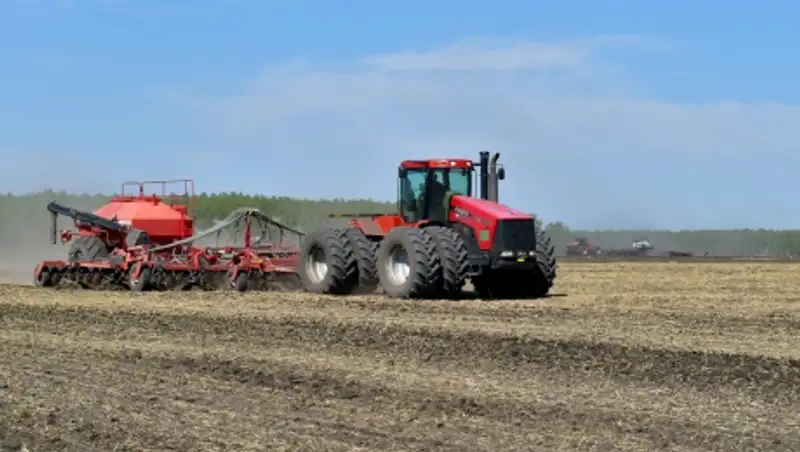 В СКО засеяно 31% площади сельхозземель