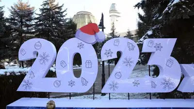 Главная новогодняя ёлка Алматы 