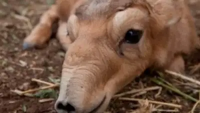 Zakon.kz, фото - Новости Zakon.kz от 18.05.2015 18:48