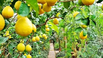 Zakon.kz, фото - Новости Zakon.kz от 03.11.2016 21:50