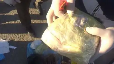 Polisia.kz, фото - Новости Zakon.kz от 19.10.2021 13:44