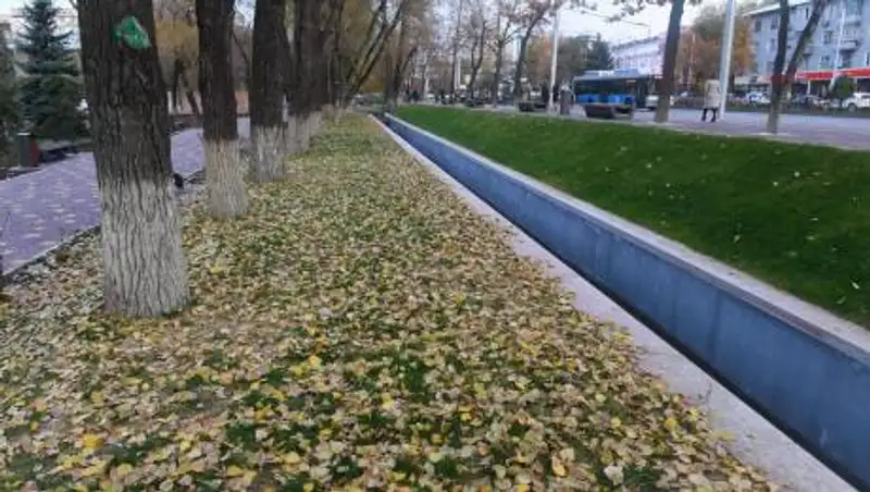 Пропавшего ребенка в Туркестанской области нашли спящим в арыке