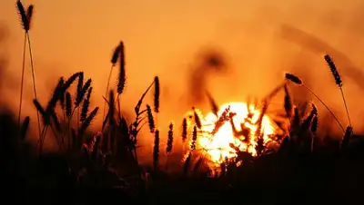 Zakon.kz, фото - Новости Zakon.kz от 28.08.2017 06:04