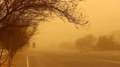 inform.kz, фото - Новости Zakon.kz от 16.09.2020 17:09