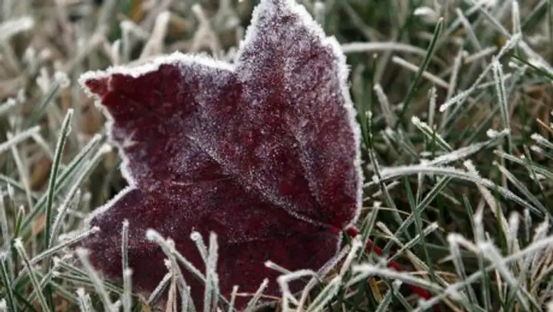В Астане и шести регионах Казахстана ожидаются заморозки
