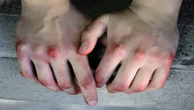 newstula.ru, фото - Новости Zakon.kz от 01.08.2020 18:25