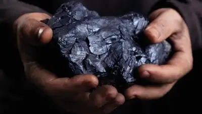 Агро-СПб, фото - Новости Zakon.kz от 12.10.2018 07:30