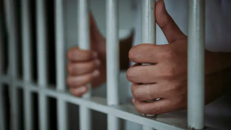 Вина подозреваемых по делу о пытках в Заречном доказана по трем эпизодам