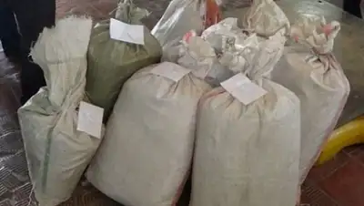 Zakon.kz, фото - Новости Zakon.kz от 30.06.2015 20:28