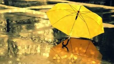 Zakon.kz, фото - Новости Zakon.kz от 19.05.2017 12:00