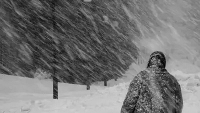 kanzori.ru, фото - Новости Zakon.kz от 18.11.2019 12:36