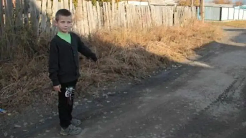 Жители пригорода Усть-Каменогорска ищут виновных в нападении на ребенка бродячей собаки