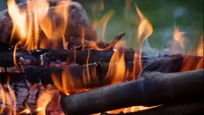 nuz.uz, фото - Новости Zakon.kz от 14.02.2018 10:35