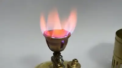 фото: SurvivalPanda, фото - Новости Zakon.kz от 19.01.2018 16:35