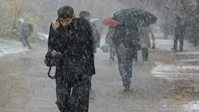 Фото: Хабар 24, фото - Новости Zakon.kz от 09.12.2017 13:00