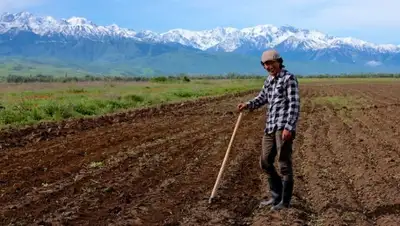 Zakon.kz, фото - Новости Zakon.kz от 15.10.2015 17:00