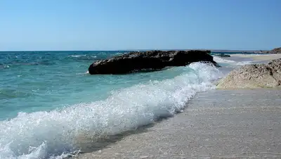 commons.wikimedia.org, фото - Новости Zakon.kz от 13.09.2019 16:56