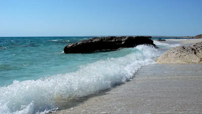 Каспийское море очистят от брошенных рыболовных сетей и мусора