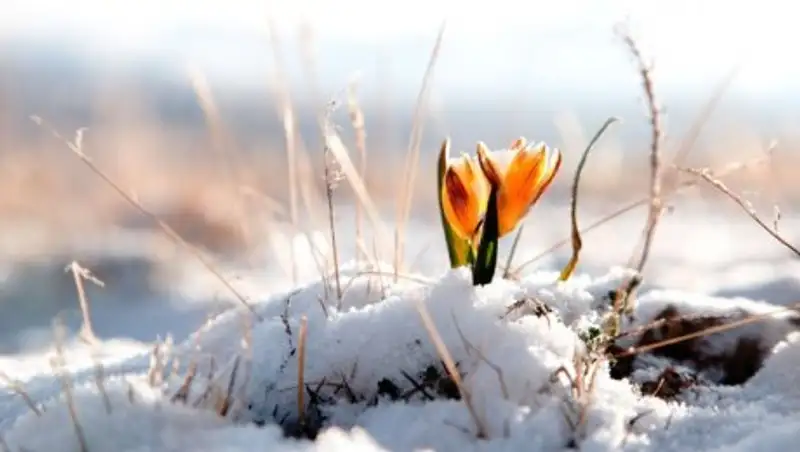 Гололед и туман возможны в Казахстане в среду