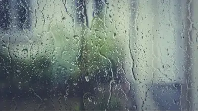 pixabay.com, фото - Новости Zakon.kz от 01.04.2019 17:56