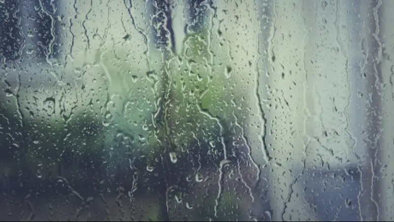 Дожди и сильный ветер ожидаются в ряде регионов Казахстана в ближайшие сутки